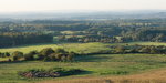DSC09096_resize