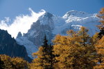 DSC07845_resize