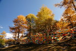 DSC08015_resize