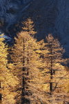 DSC08035_resize