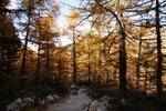 Tranquility in Forest 靈靜深山
DSC08077_resize