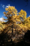 DSC08079_resize