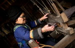 DSC02891_resize