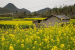 DSC03024_resize