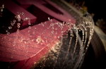 DSC08368_resize