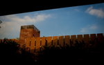 DSC08382_resize