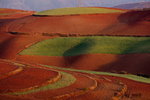 DSC02730_re
