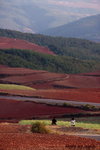 DSC02731_re