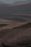 DSC02795_re