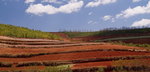 DSC02934_re1