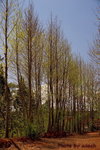 DSC02936_re1