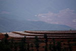 DSC02950_re1