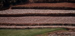 DSC02952_re1