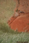 DSC02958_re1