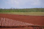 DSC02970_re1