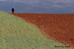 DSC03042_re1