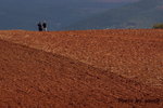 DSC03044_re1