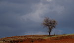 DSC03089_re1