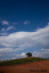 DSC03107_re1