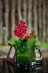 DSC04926_resize