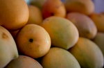 DSC04980_resize