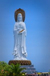 DSC05532_resize