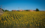 DSC01197