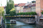 DSC05336