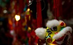 DSC03130
