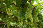 DSCF0023