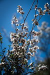 DSC00085