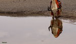 DSC02130_resize