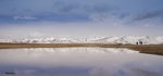 DSC02137_resize