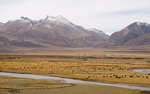 DSC02175_resize
