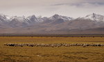 DSC02195_resize