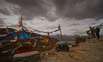 DSC02584_resize