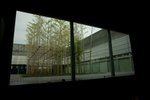 DSC09588_resize