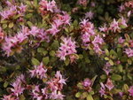 DSC01761_resize