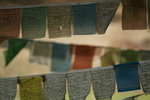 DSC02096_resize