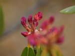 DSC02176_resize