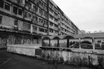 DSC00008