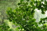 DSC07698_resize
