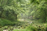 DSC07726_resize
