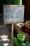 DSC06865_resize