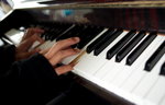 DSC09223_resize