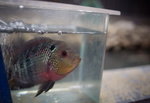 DSC09229_resize
