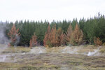 Orakei Korako