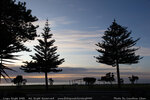 Napier