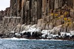 3 Hour Eco-Adventure Cruise, Tasmani