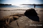 White Beach, Tasmania